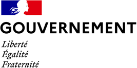 French Government
